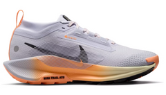Women's Nike Pegasus Trail 5 GTX (CLEARANCE)
