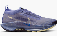Women's Nike Pegasus Trail 5 GTX (CLEARANCE)