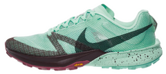 Men's Nike Terra Kiger 10