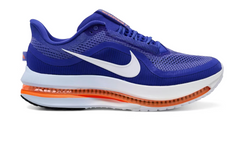 Men's Nike Pegasus Premium