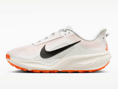 Men's Nike ACG Pegasus Trail