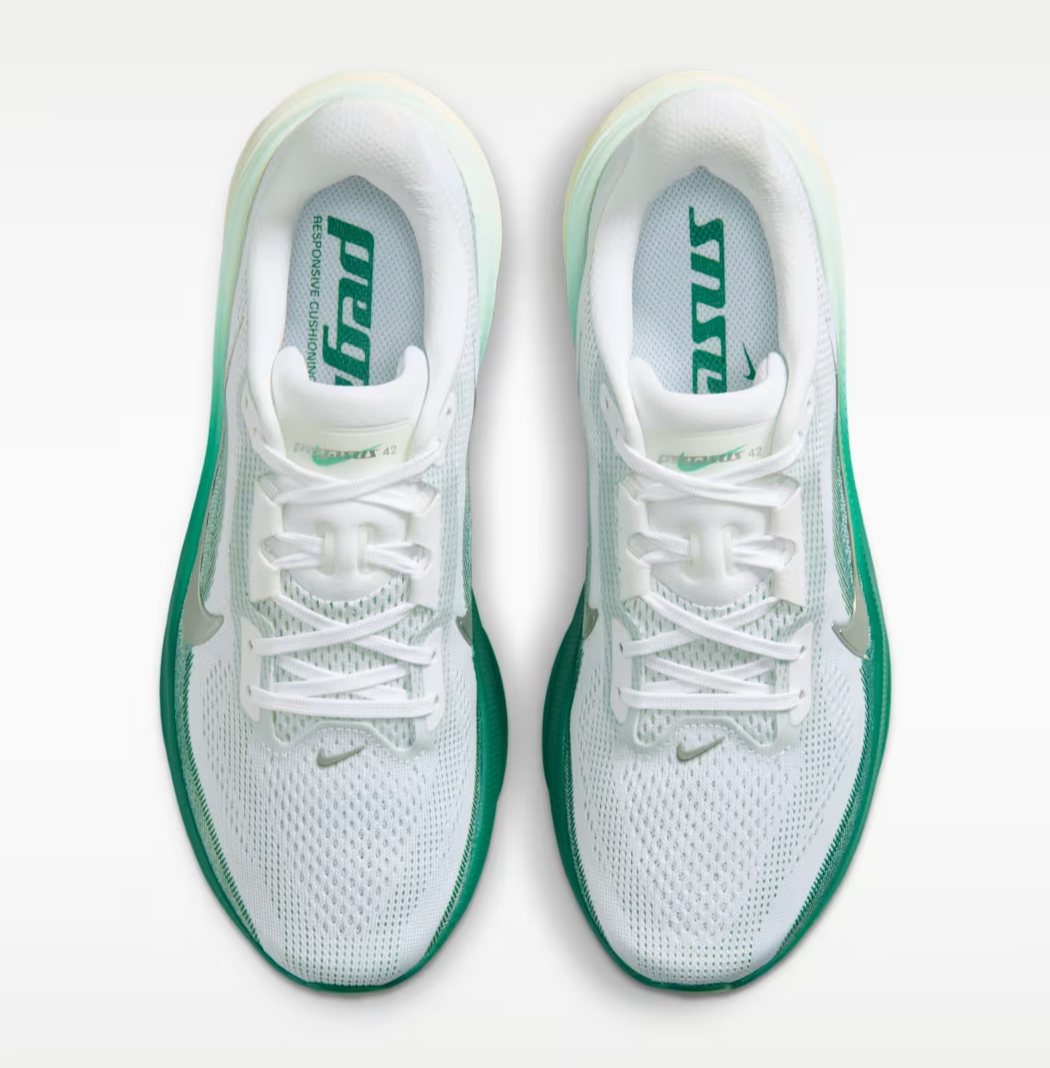 Women's Air Zoom Pegasus 42