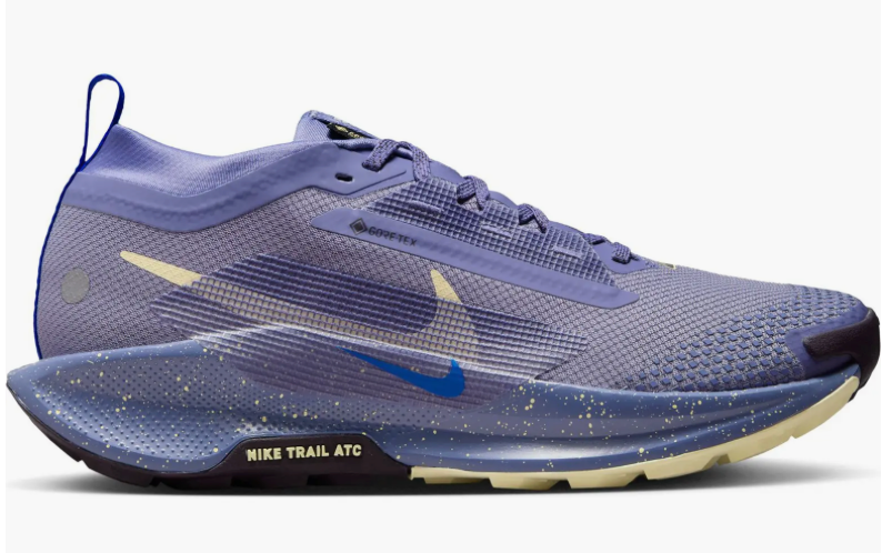 Women's Nike Pegasus Trail 5 GTX (CLEARANCE)