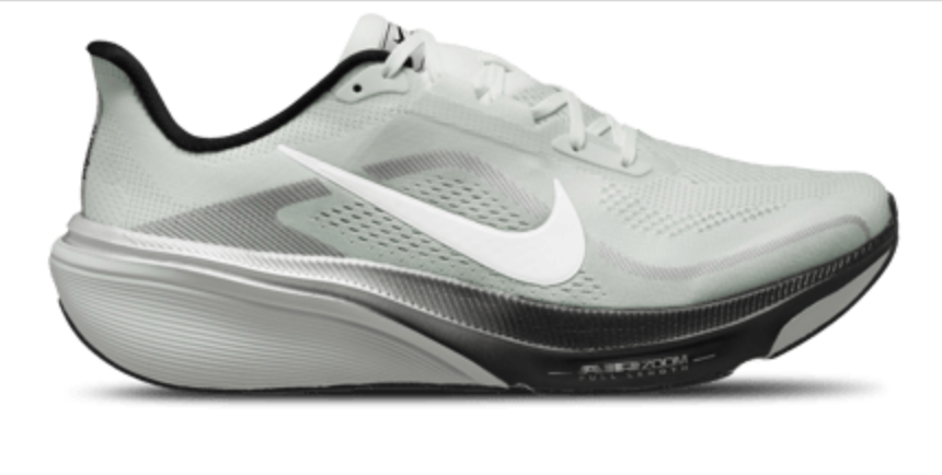 Men's Nike Air Zoom Pegasus 42